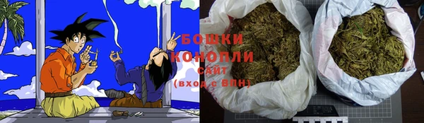 крисы Гусиноозёрск
