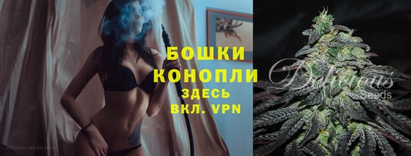спайс Гусь-Хрустальный
