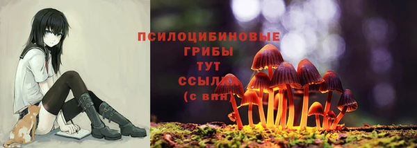 крисы Гусиноозёрск