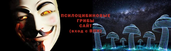 крисы Гусиноозёрск