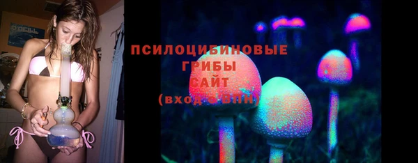 эйфоретик Гусев