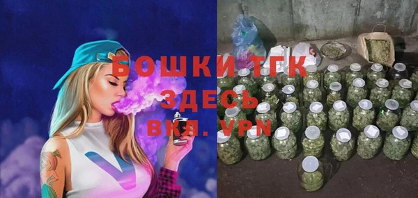 эйфоретик Гусев