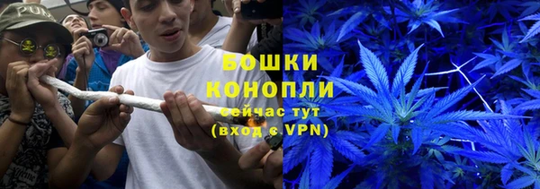 эйфоретик Гусев
