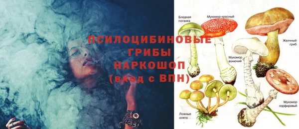 эйфоретик Гусев