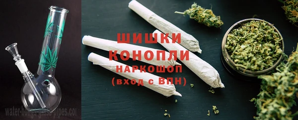 эйфоретик Гусев